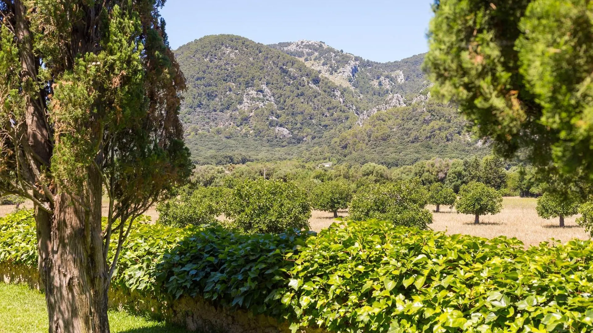 Fangar Agroturismo Campanet 0*,  Spain