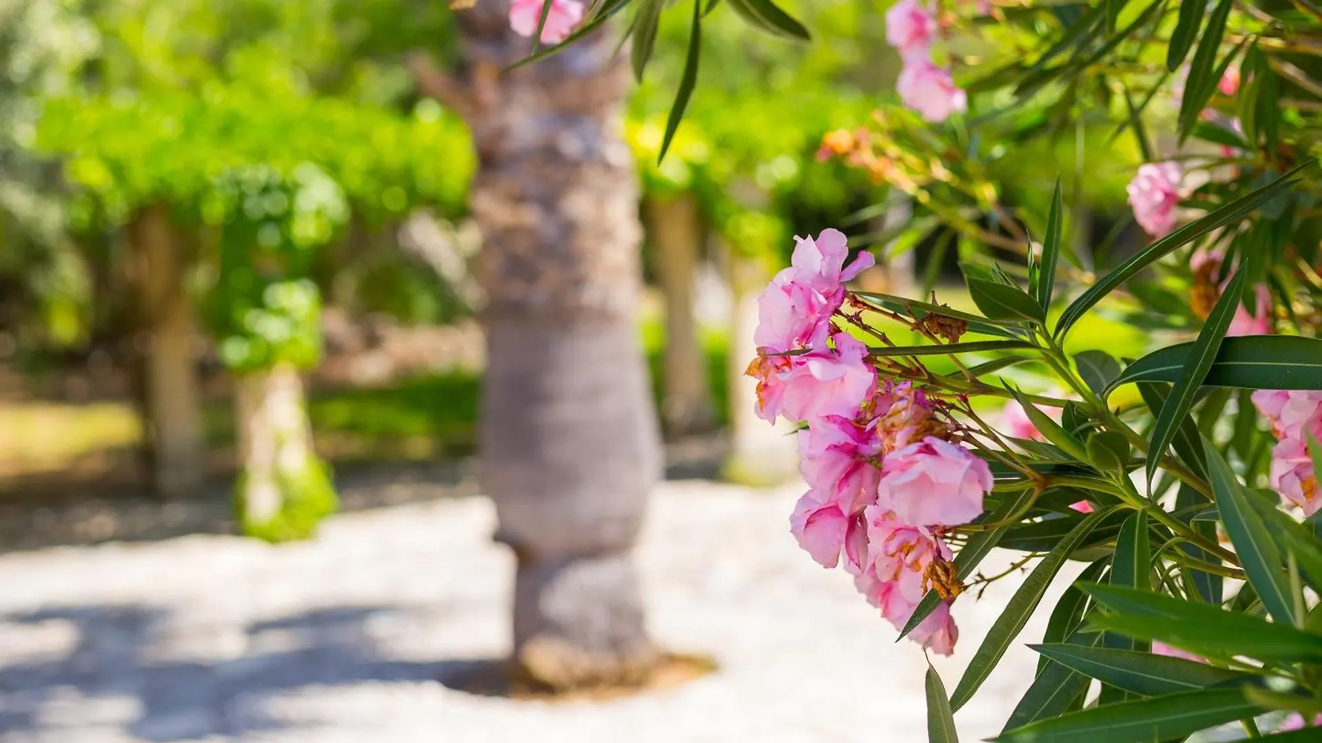 Fangar Agroturismo Campanet Farm stay