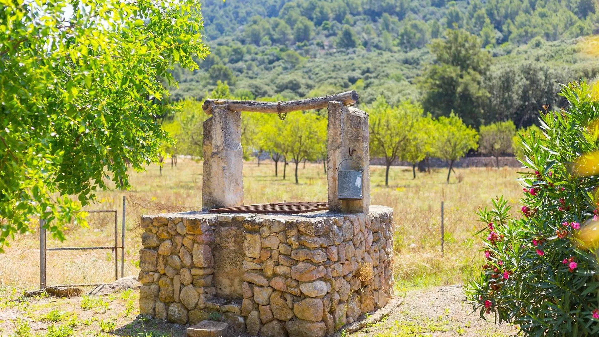 Farm stay Fangar Agroturismo Campanet