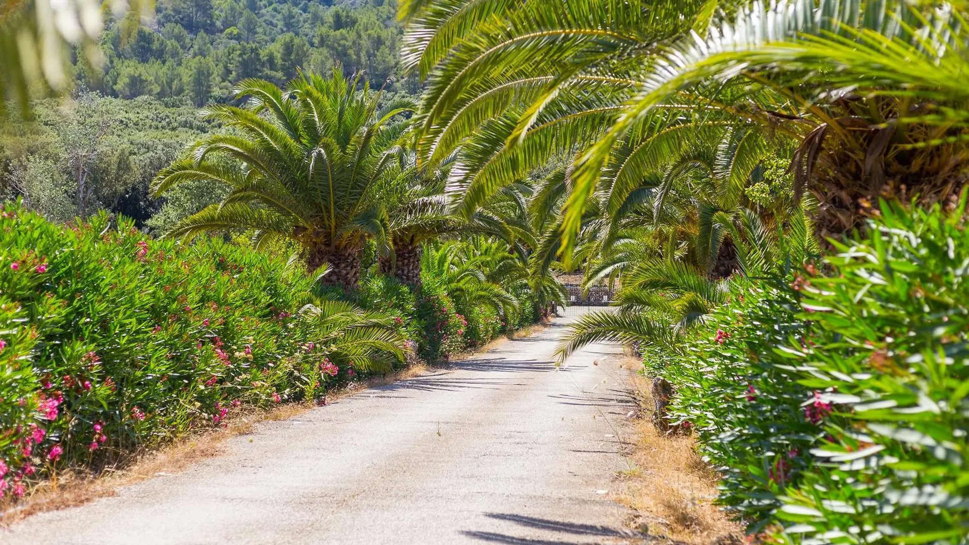 Fangar Agroturismo Campanet Farm stay